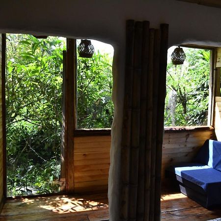 Habitacion Las Bromelias, Pijao, Finca Flora Del Rio Dış mekan fotoğraf